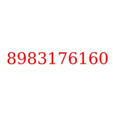 8983176160
