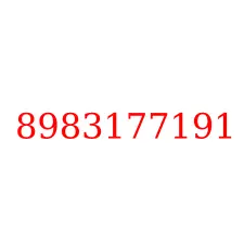 8983177191