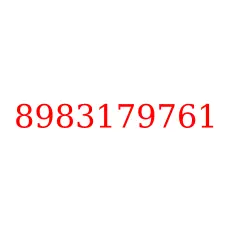 8983179761