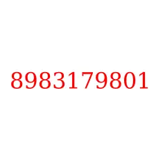 8983179801