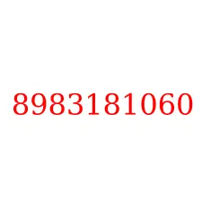 8983181060