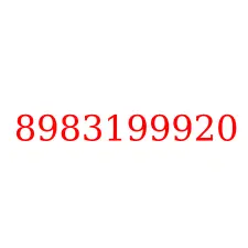 8983199920