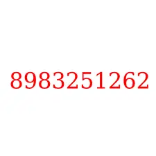 8983251262