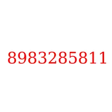 8983285811