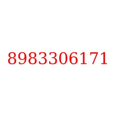 8983306171