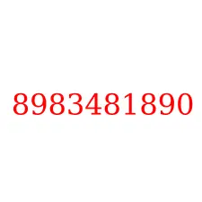 8983481890
