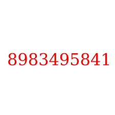 8983495841