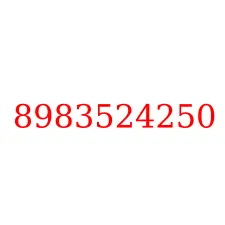 8983524250
