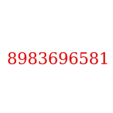 8983696581