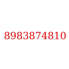 8983874810