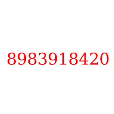 8983918420