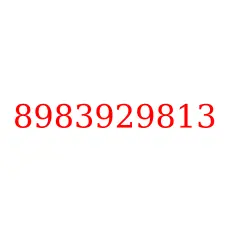8983929813