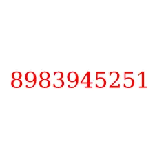 8983945251