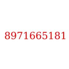 8971665181