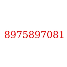 8975897081