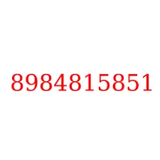 8984815851