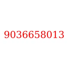9036658013