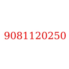 9081120250