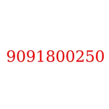 9091800250