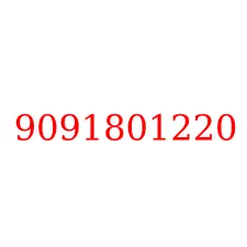 9091801220
