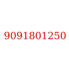 9091801250