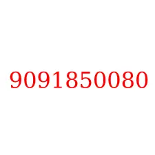 9091850080