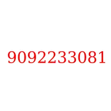 9092233081