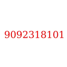 9092318101