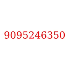 9095246350