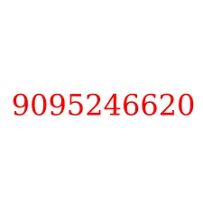 9095246620