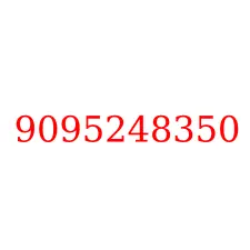 9095248350