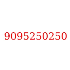 9095250250