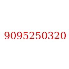 9095250320