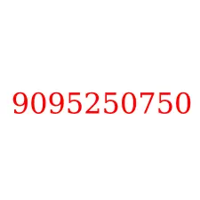 9095250750