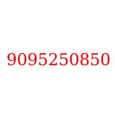 9095250850