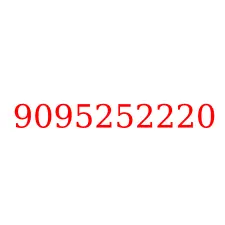 9095252220