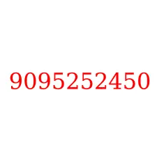 9095252450