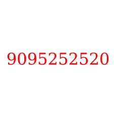 9095252520