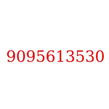 9095613530