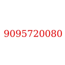9095720080