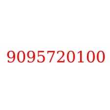 9095720100