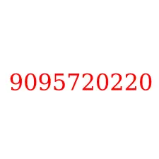 9095720220