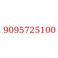 9095725100