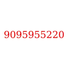 9095955220