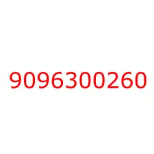 9096300260