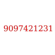 9097421231