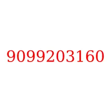 9099203160
