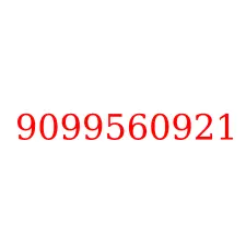 9099560921