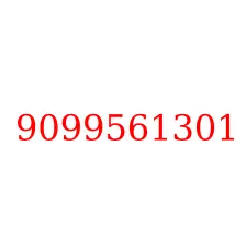 9099561301