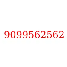 9099562562